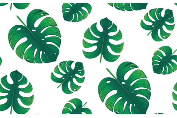 7 Monstera Leaves Vector Patterns